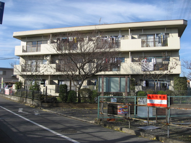 斉藤ハイム